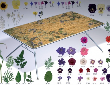 Dining table with wooden countertop Flower, Moroso