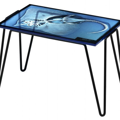 Table Xraydio 1 Razza