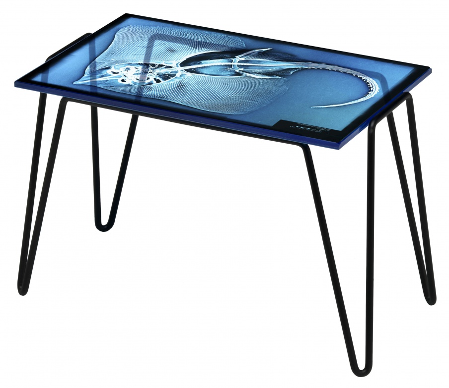 A coffee table on a metal frame Xraydio 1 Razza, Moroso