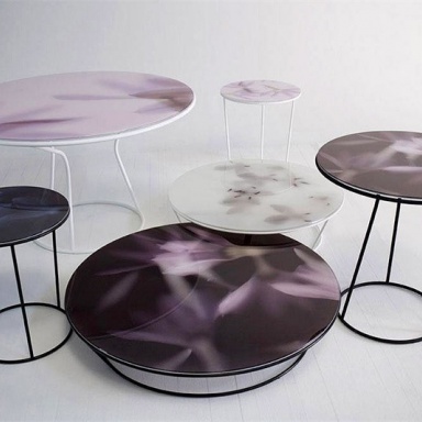 The table Around the Roses