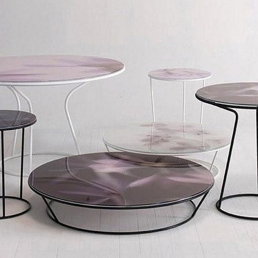 The table Around the Roses