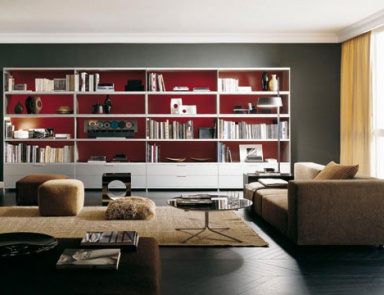 The Cartesia Bookcase, Rimadesio