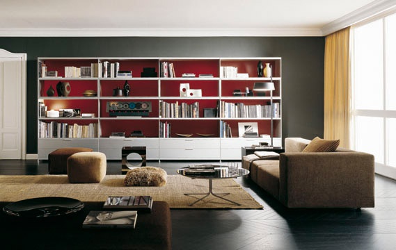 The Cartesia Bookcase, Rimadesio