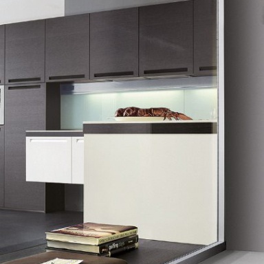 Kitchen (kitchen set) Essenza