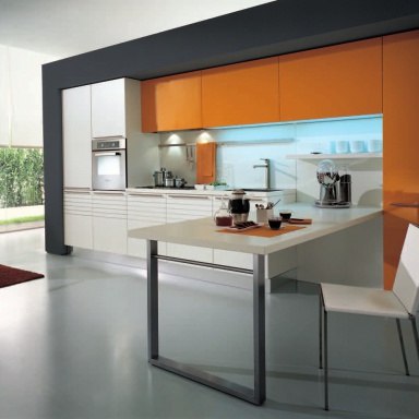 Kitchen furniture kitchen)