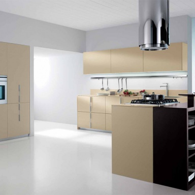 Kitchen furniture kitchen)