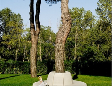 The Cobra Chair, Varaschin