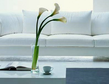 Sofa Container, Vibieffe