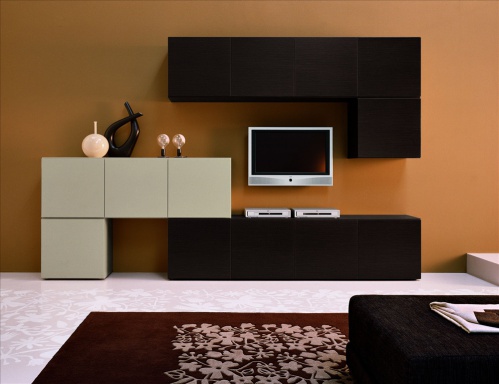 Modular system for the living room House Md