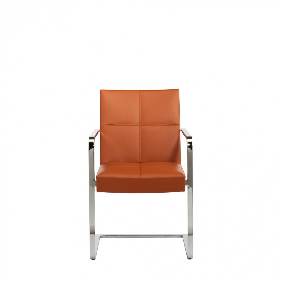 Chair Sina, Past ... 