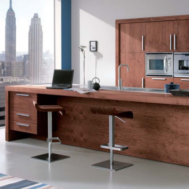 Kitchen furniture kitchen)