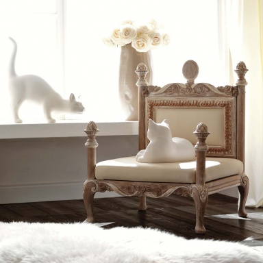 A chair for animals Ambiente Giorno