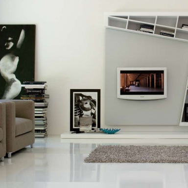 modular system for TV