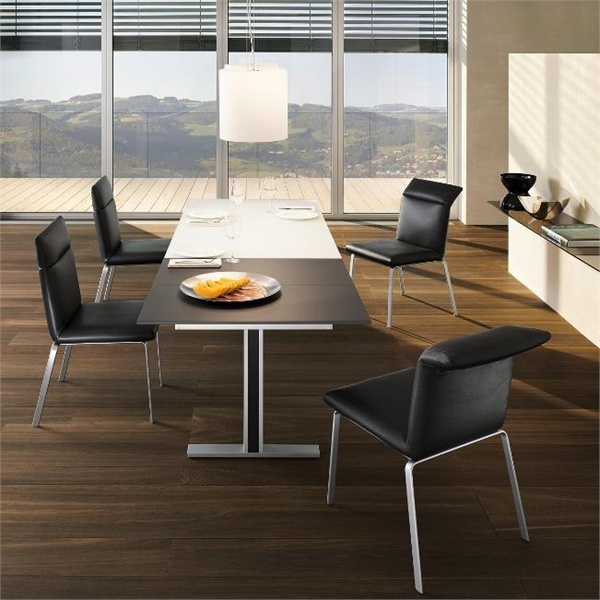 Set for the dining room, Ronald Schmitt