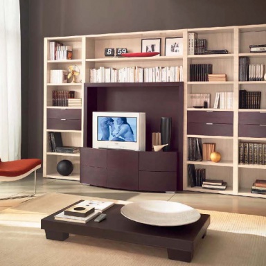 Modular storage system