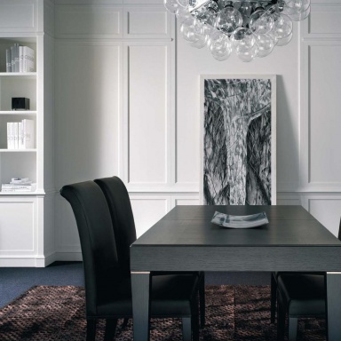 Dining room (furniture dining room)