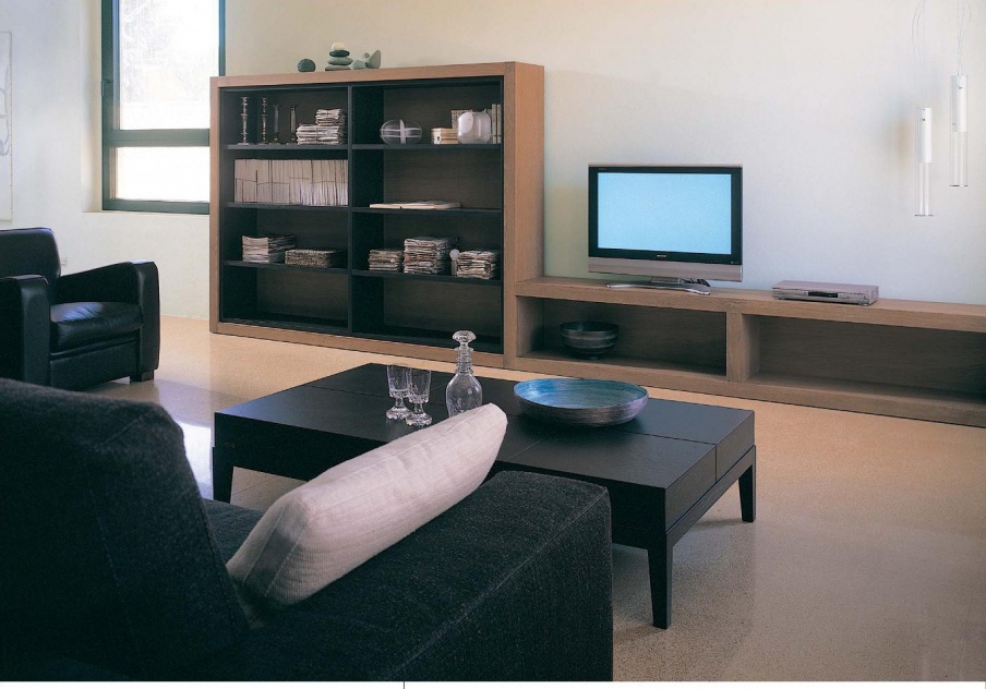 Modular system for the living room, L'origine