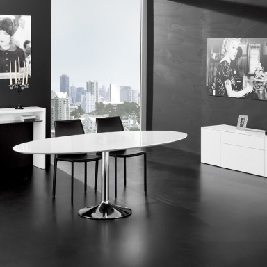 Dining room (furniture dining room)