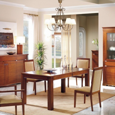 Dining room (furniture dining room)