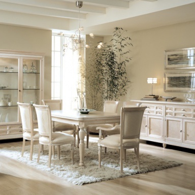 Dining room (furniture dining room)