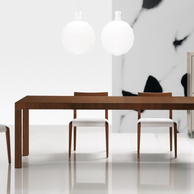 Dining room (furniture dining room)