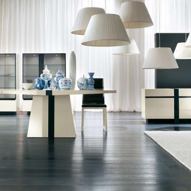 Dining room (furniture dining room)