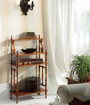 Bookcase carved, Tosato