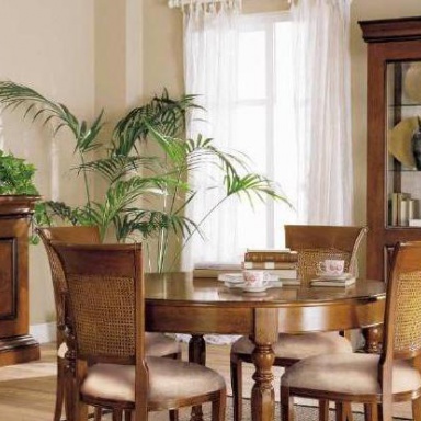 Dining room (furniture dining room)