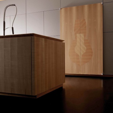 Kitchen furniture kitchen)