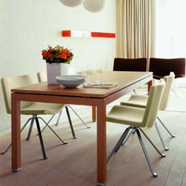 Dining room (furniture dining room)