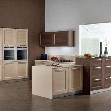Kitchen furniture kitchen) 