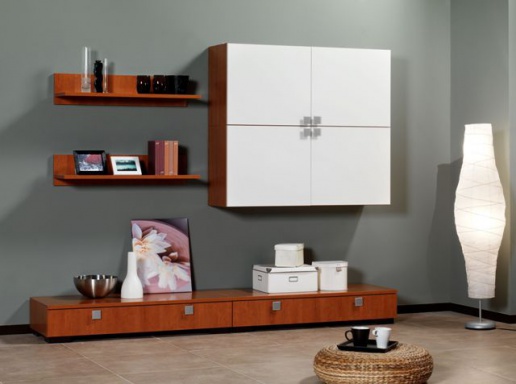 Modular system for TV