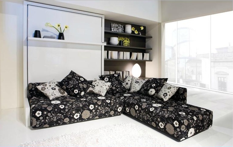 A pull - out sofa, Clei