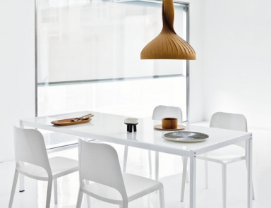 The chair products Zanotta