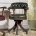 Armchair Seven Sedie Perfectly