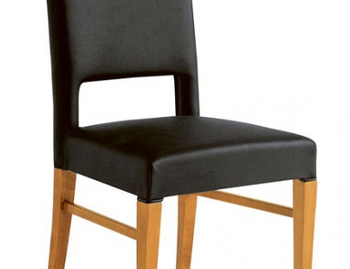 Chair Diego, Selva
