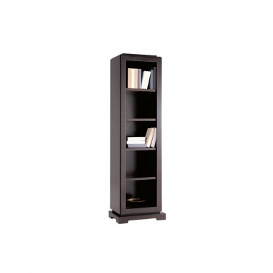 Bookcase Downtown