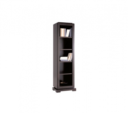 Bookcase Downtown