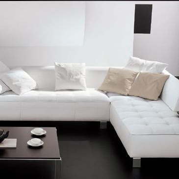 The Sofa Linea 