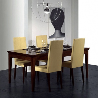 Dining room (furniture dining room)