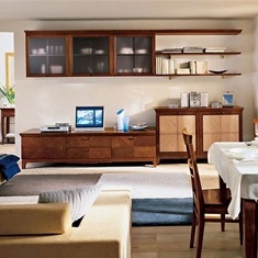 Modular storage system 