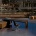 Ceoo Desk