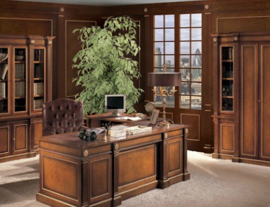 The office (Suite office), DL Decor