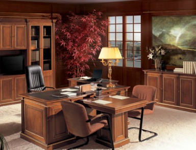 The office (Suite office), DL Decor