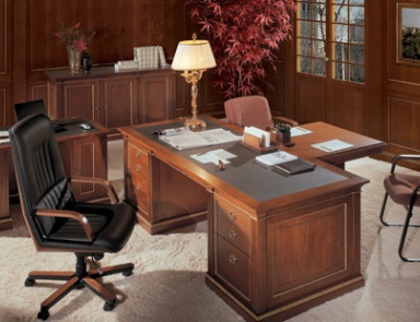 The office (Suite office), DL Decor