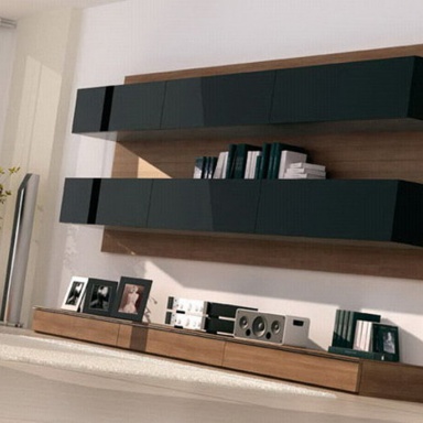 Modular system for TV