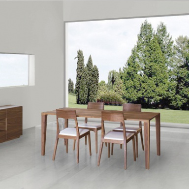 Dining room (furniture dining room)