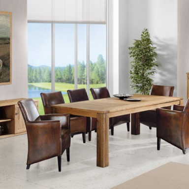 Dining room (furniture dining room)