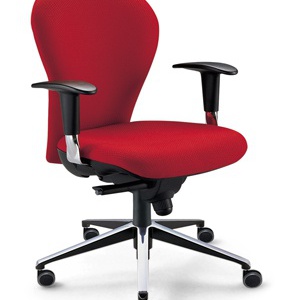 The chair of the working