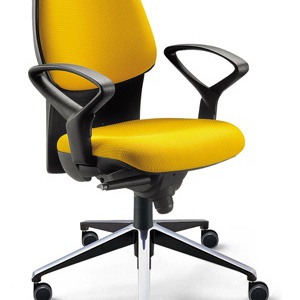 The chair of the working